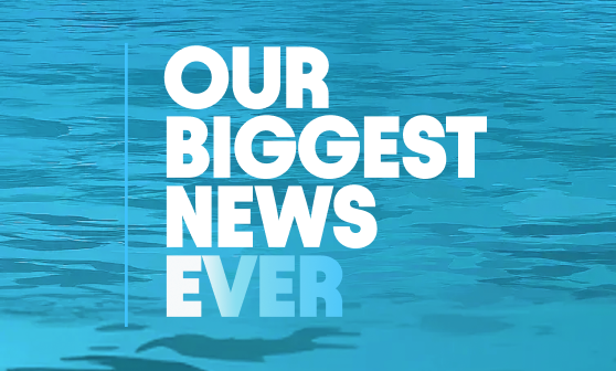 our biggest news ever TN